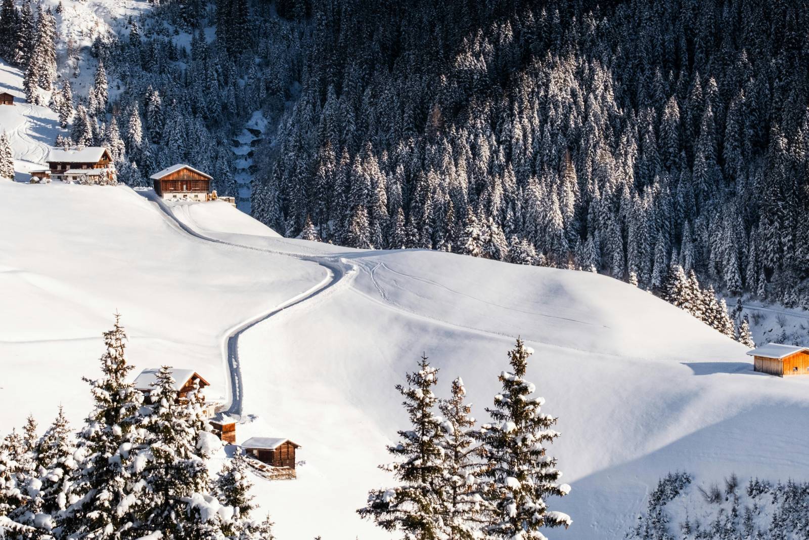 Navigating Winter Together