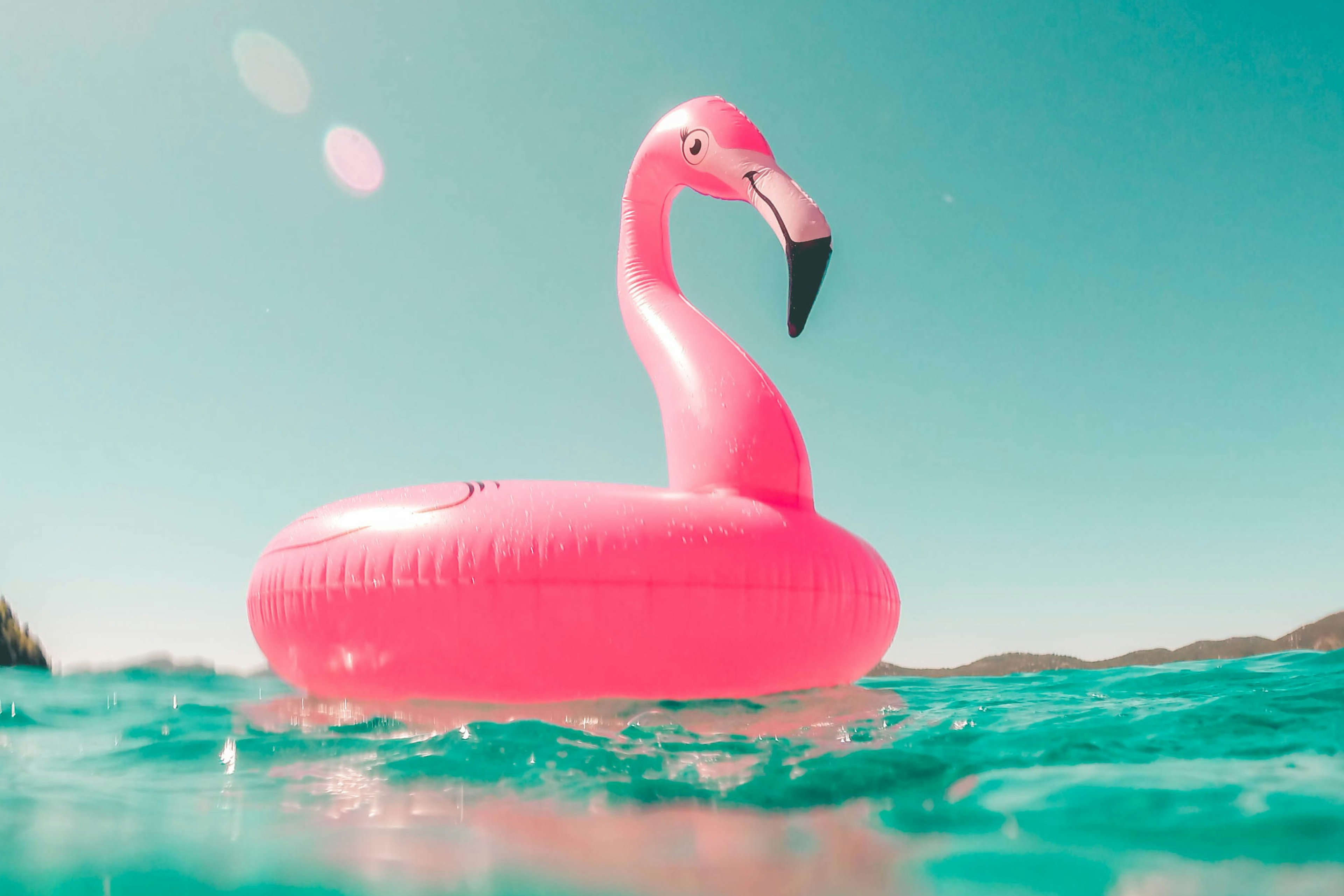 Spring Break Travel Tips for Roommates