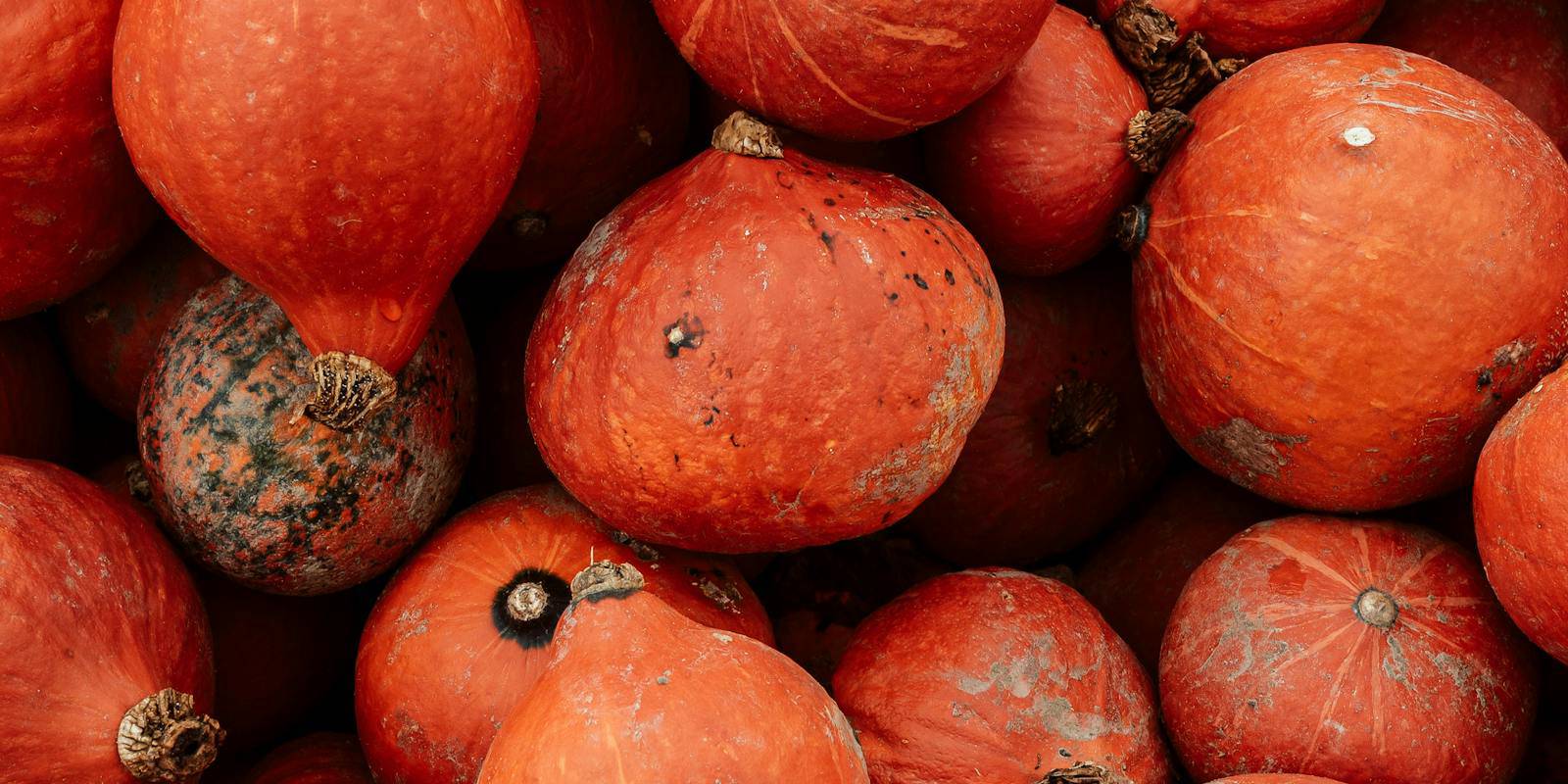 Roommates.com’s Halloween Countdown