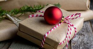 Festive Roommate Fun