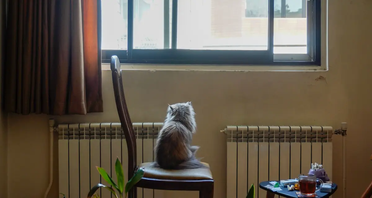 Minimizing Damage from Pets