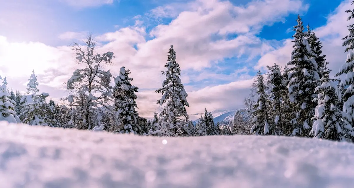 Coping with Seasonal Affective Disorder