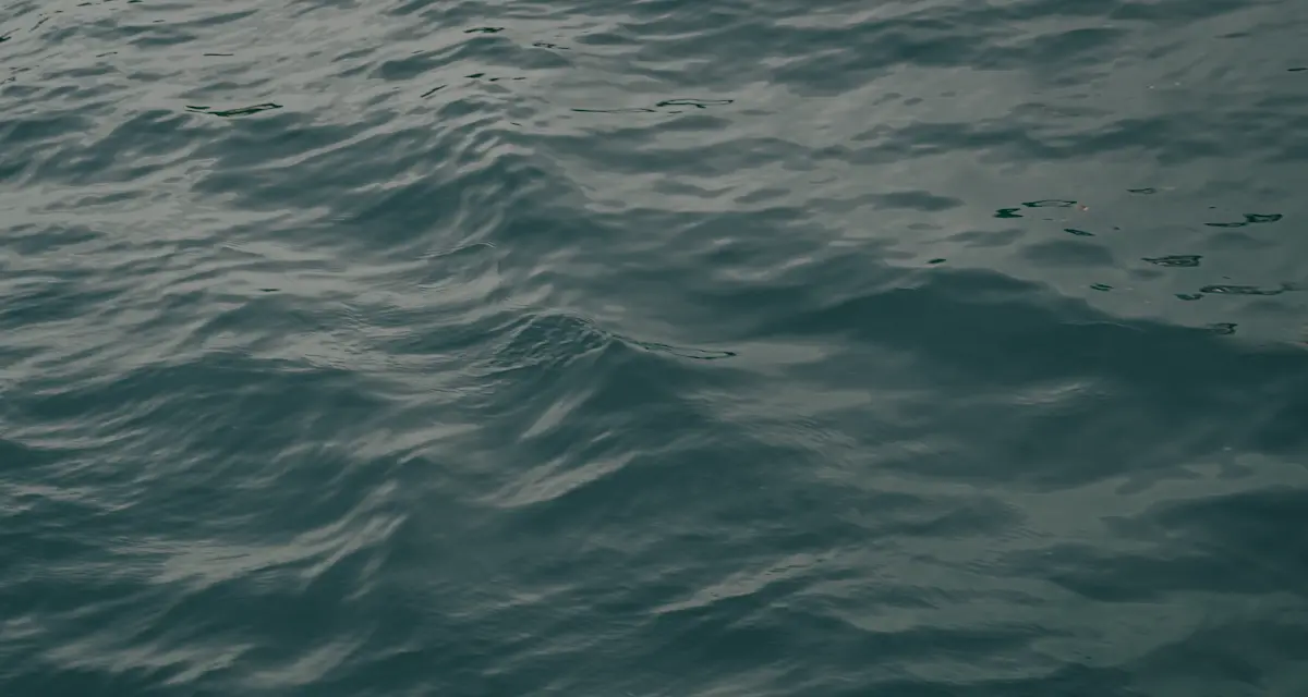 Fact: Roommates Relieve Stress