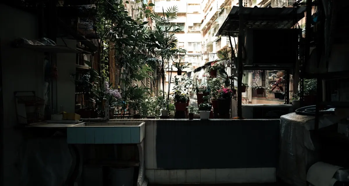 Tips for Going Green