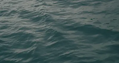 Fact: Roommates Relieve Stress