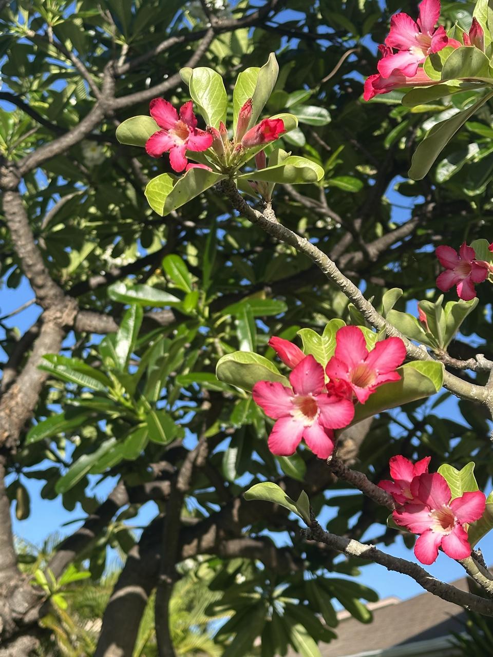 Profile photo 3 of 3