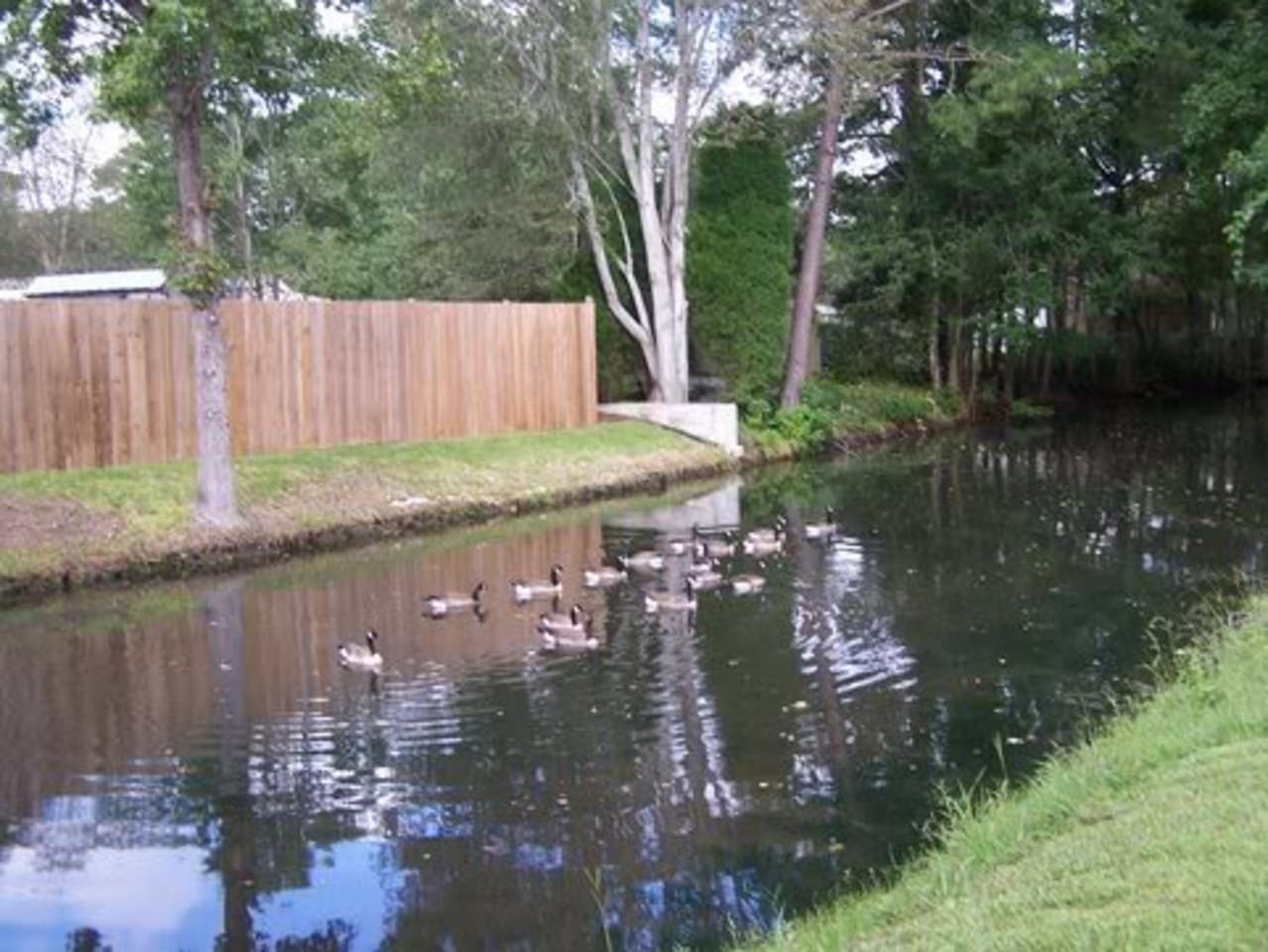 Profile photo 9 of 10