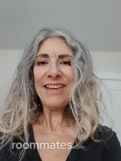 Roommate looking Philadelphia, PA, $700