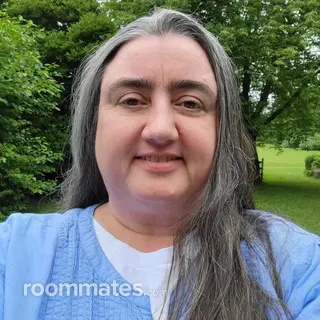 Roommate looking Downingtown, PA, $1000