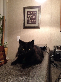 Room for rent in Lexington, SC $700, house