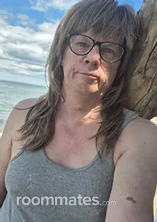 Roommate looking Glenview, IL, $900