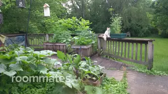 Room for rent in Joliet, IL $750, house