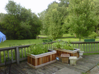 Room for rent in Joliet, IL $800, house