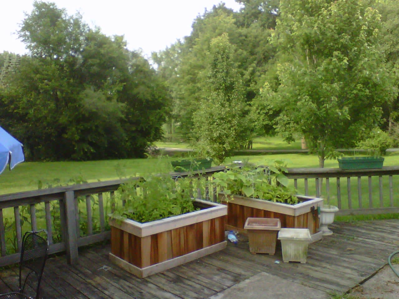 Profile photo 1 of 2