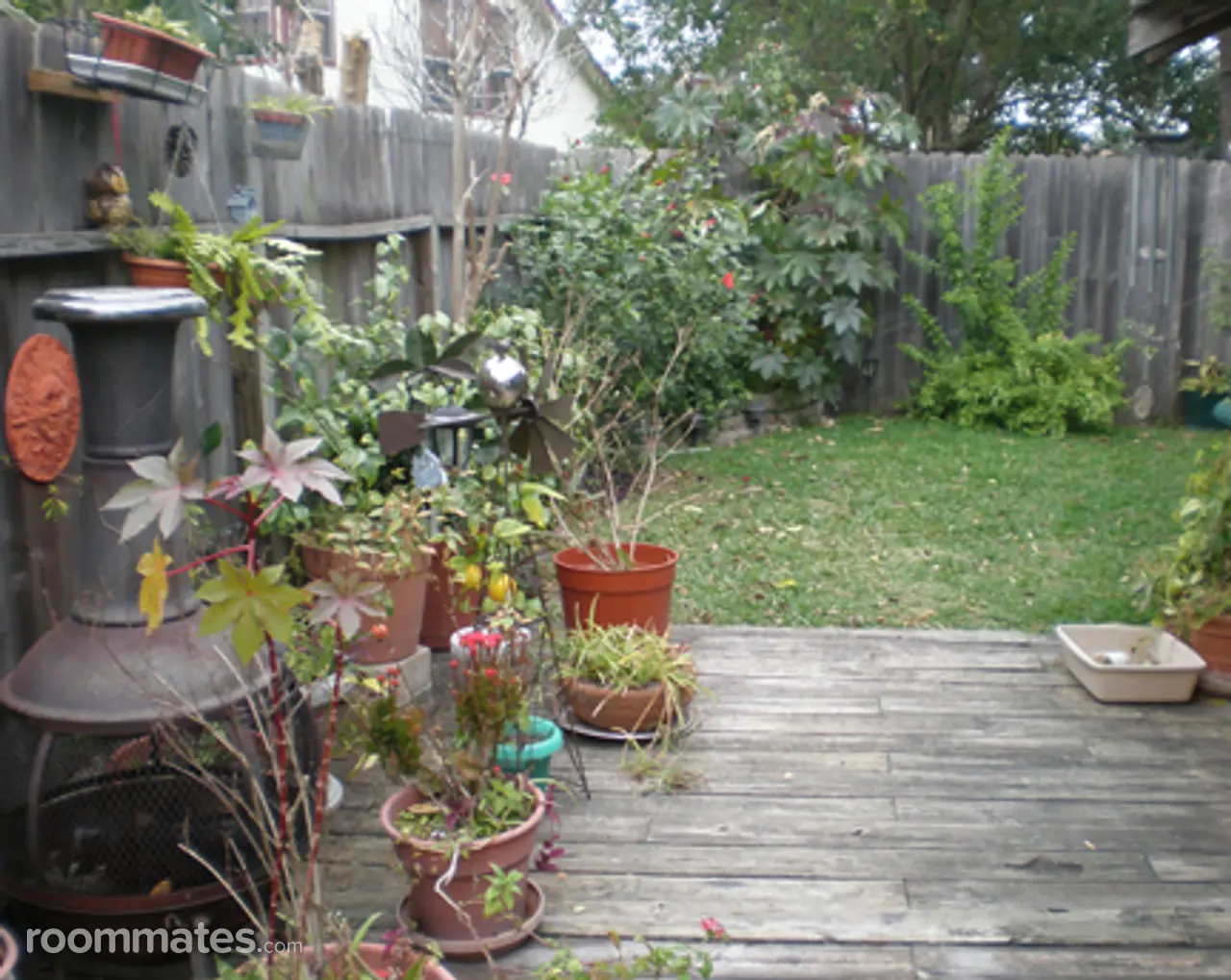 Profile photo 3 of 10