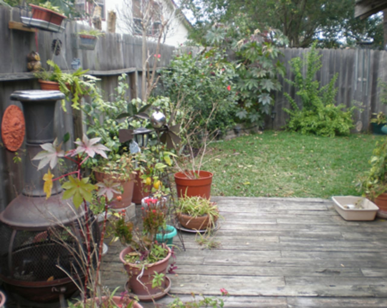 Profile photo 1 of 7