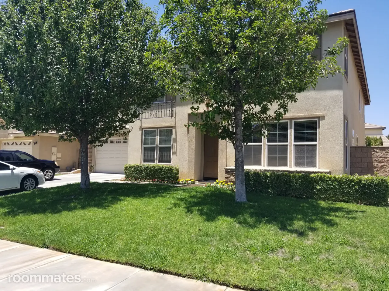 Profile photo 9 of 9