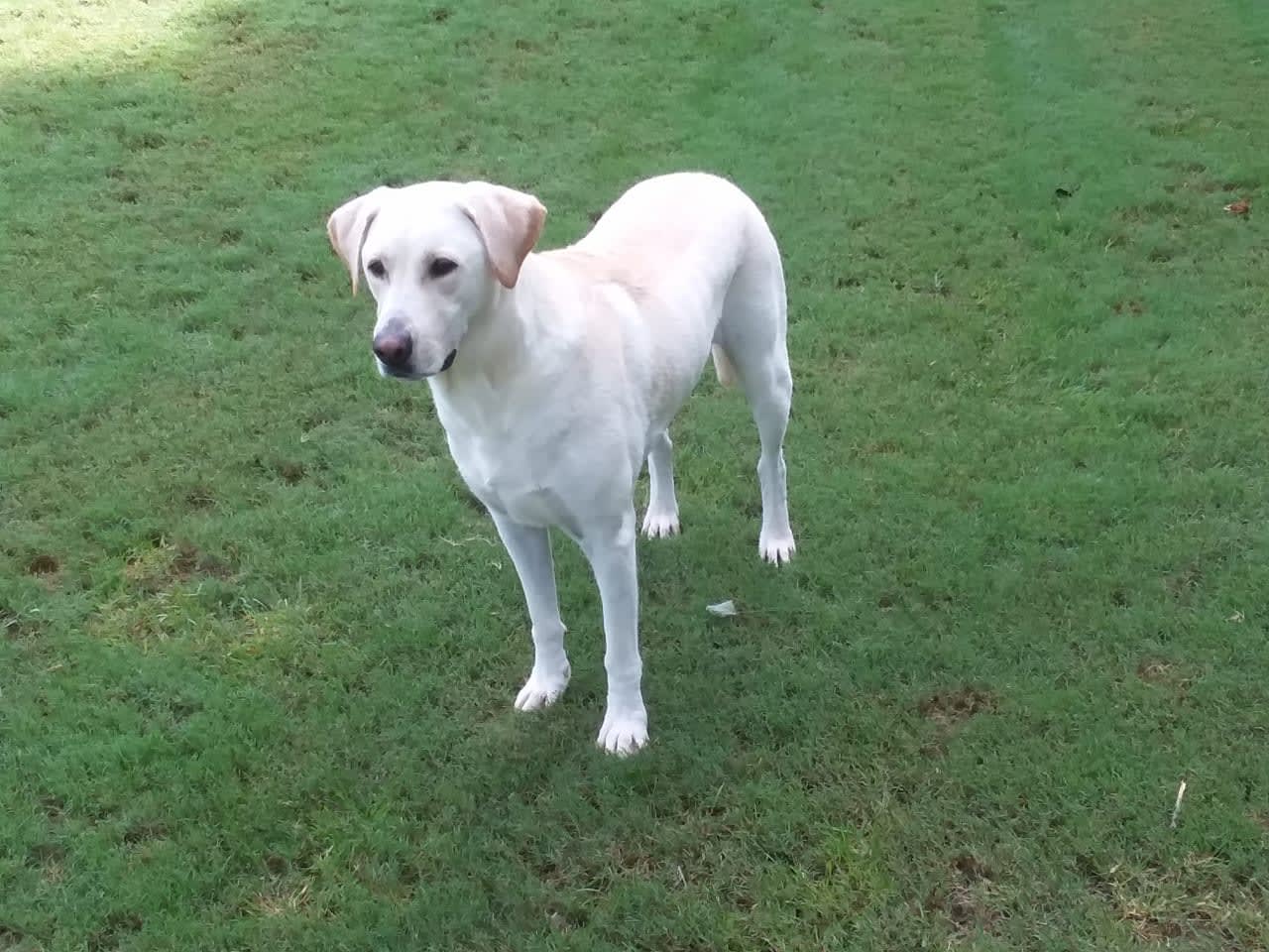 Profile photo 2 of 6