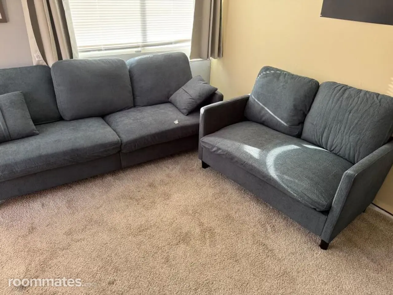 Profile photo 7 of 18