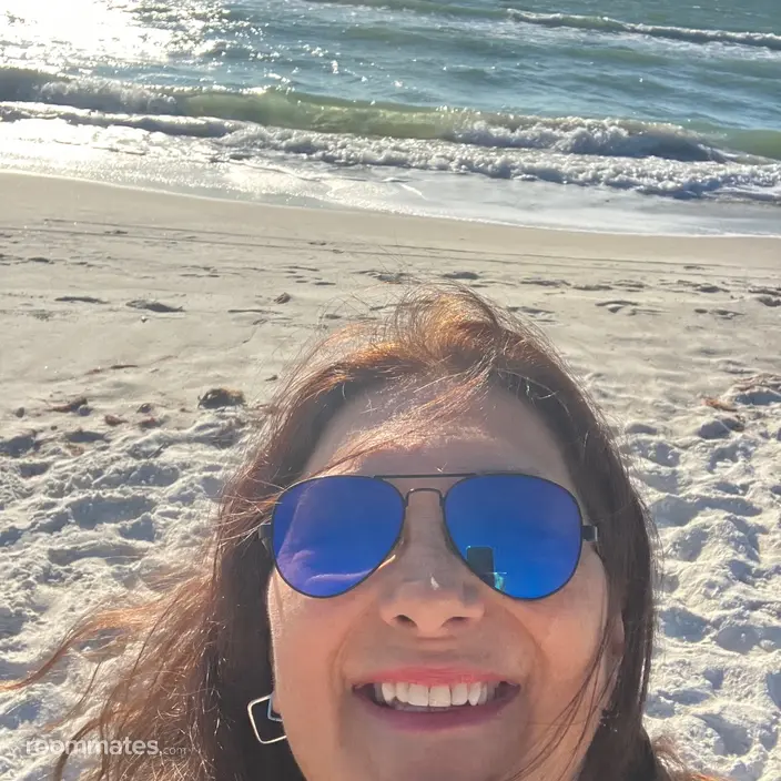 Roommate looking Clearwater, FL, $900