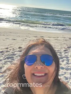 Roommate looking Clearwater, FL, $900
