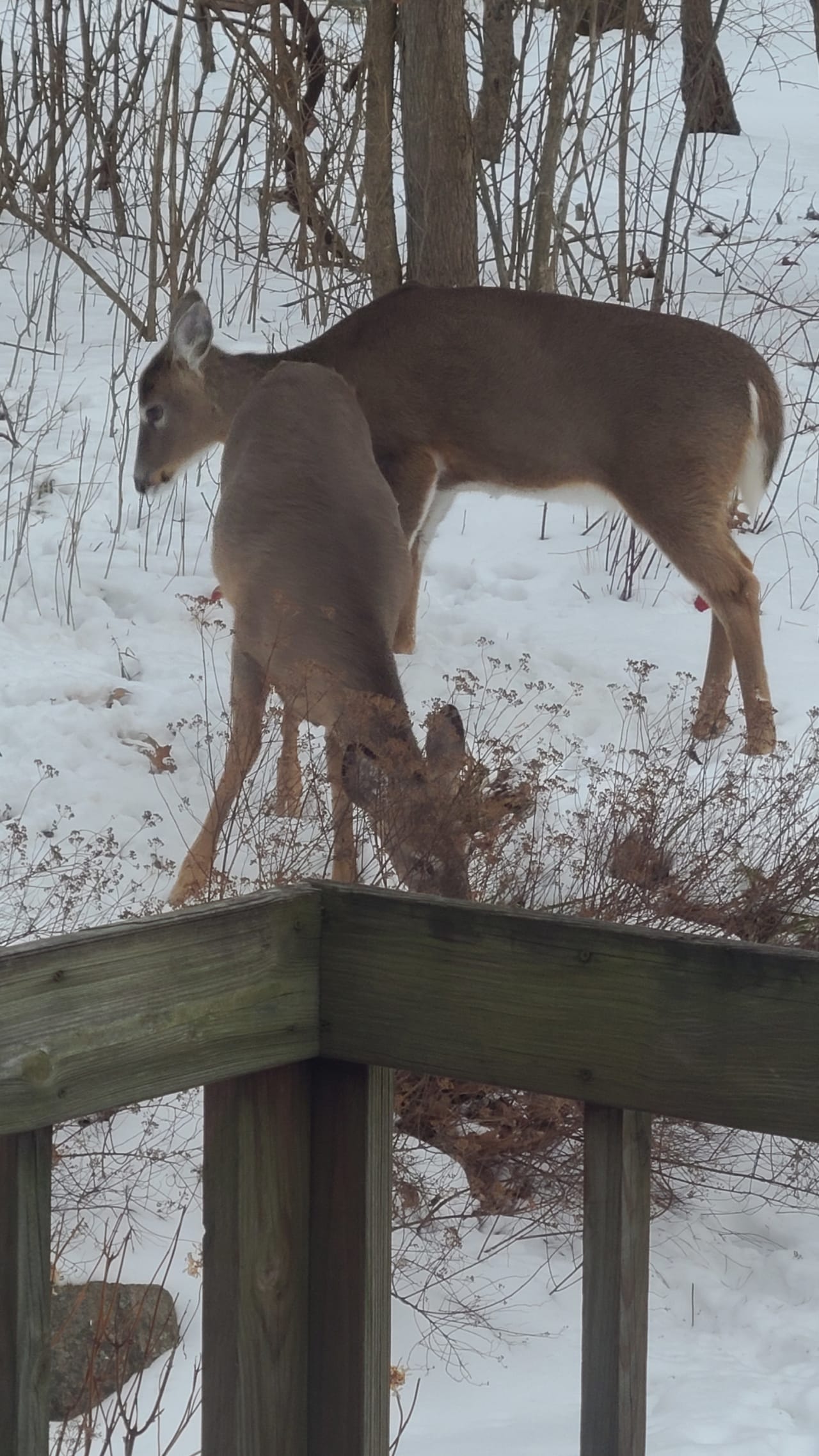 Profile photo 7 of 9