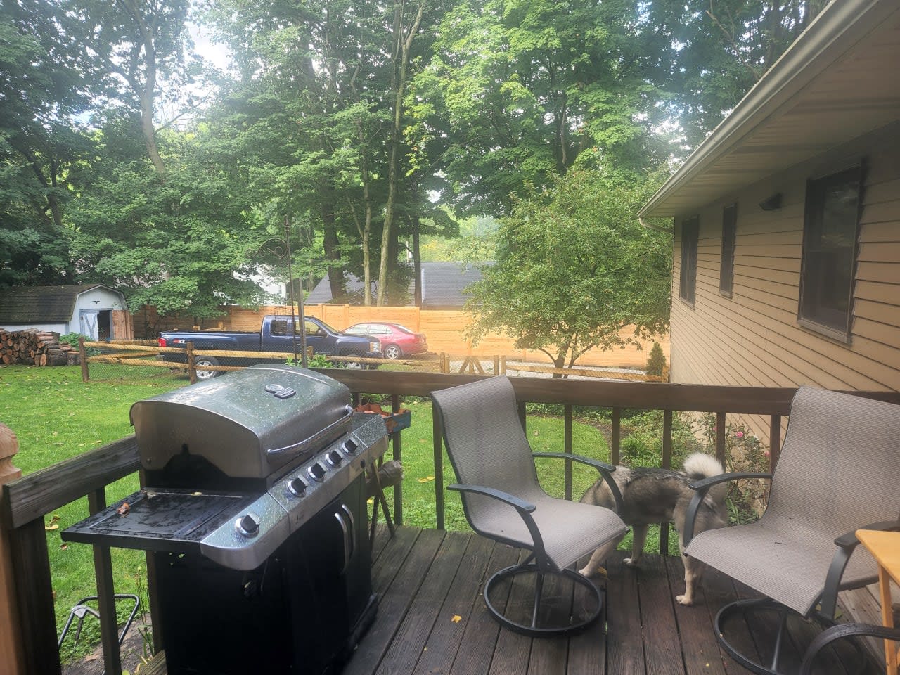 Profile photo 2 of 9