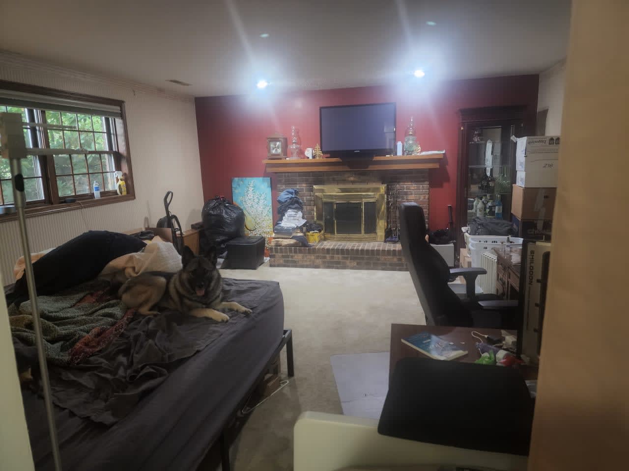 Profile photo 3 of 9