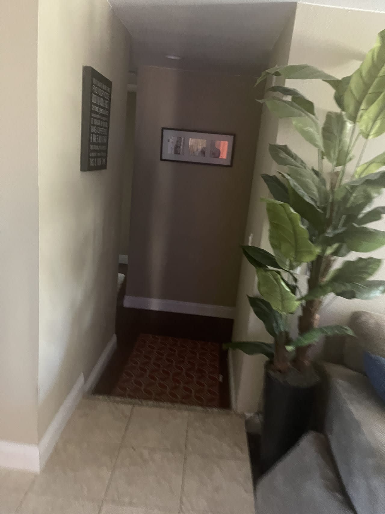 Profile photo 2 of 7