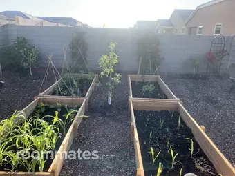 Room for rent in Florence, AZ $850, house