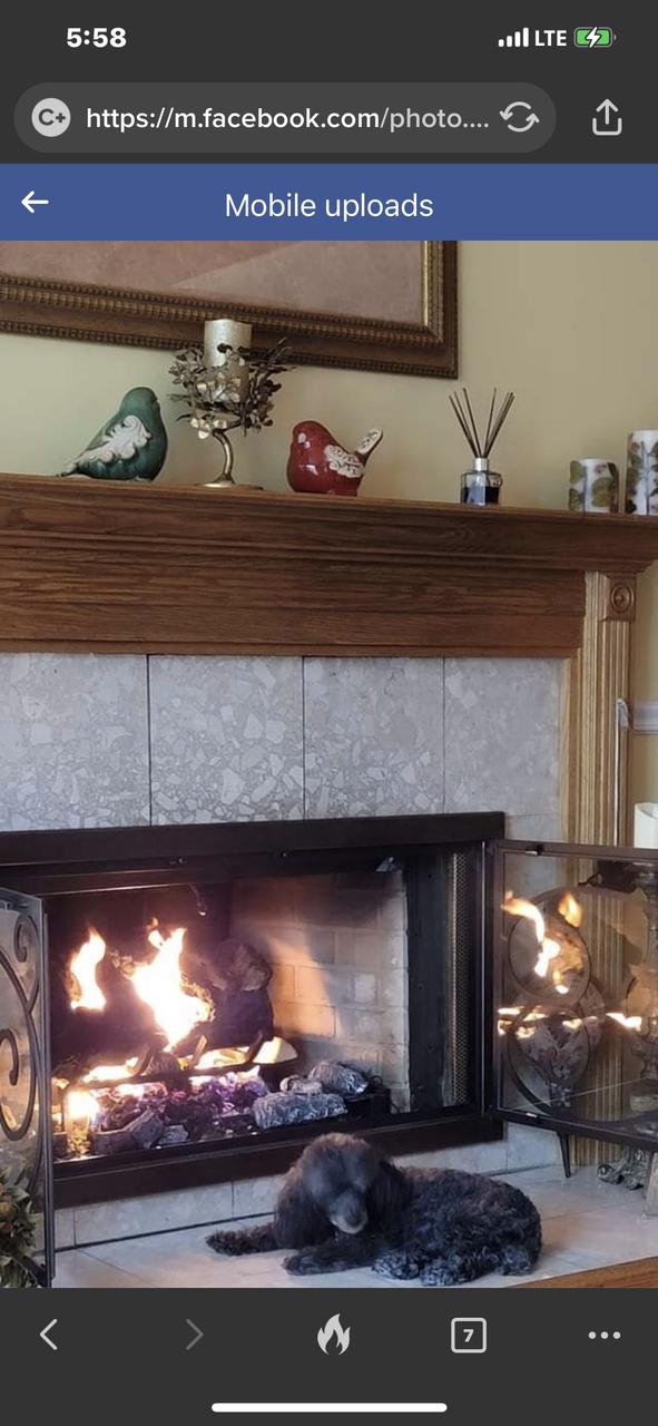 Profile photo 2 of 4