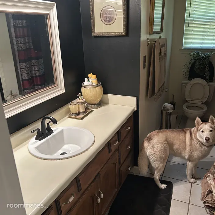 Room for rent in Alabaster, AL $700, house