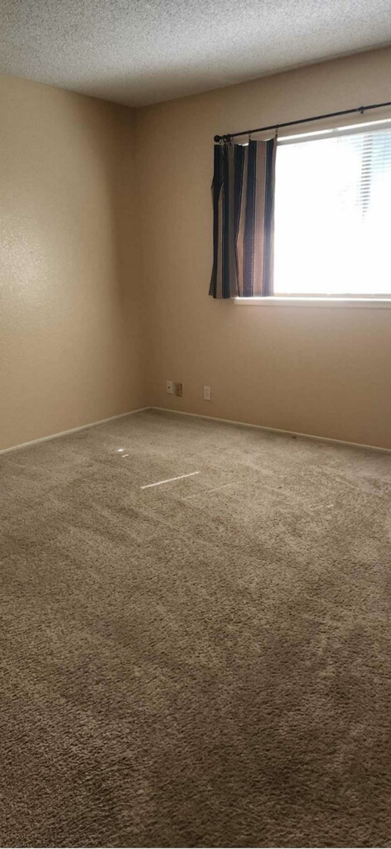 Profile photo 4 of 8