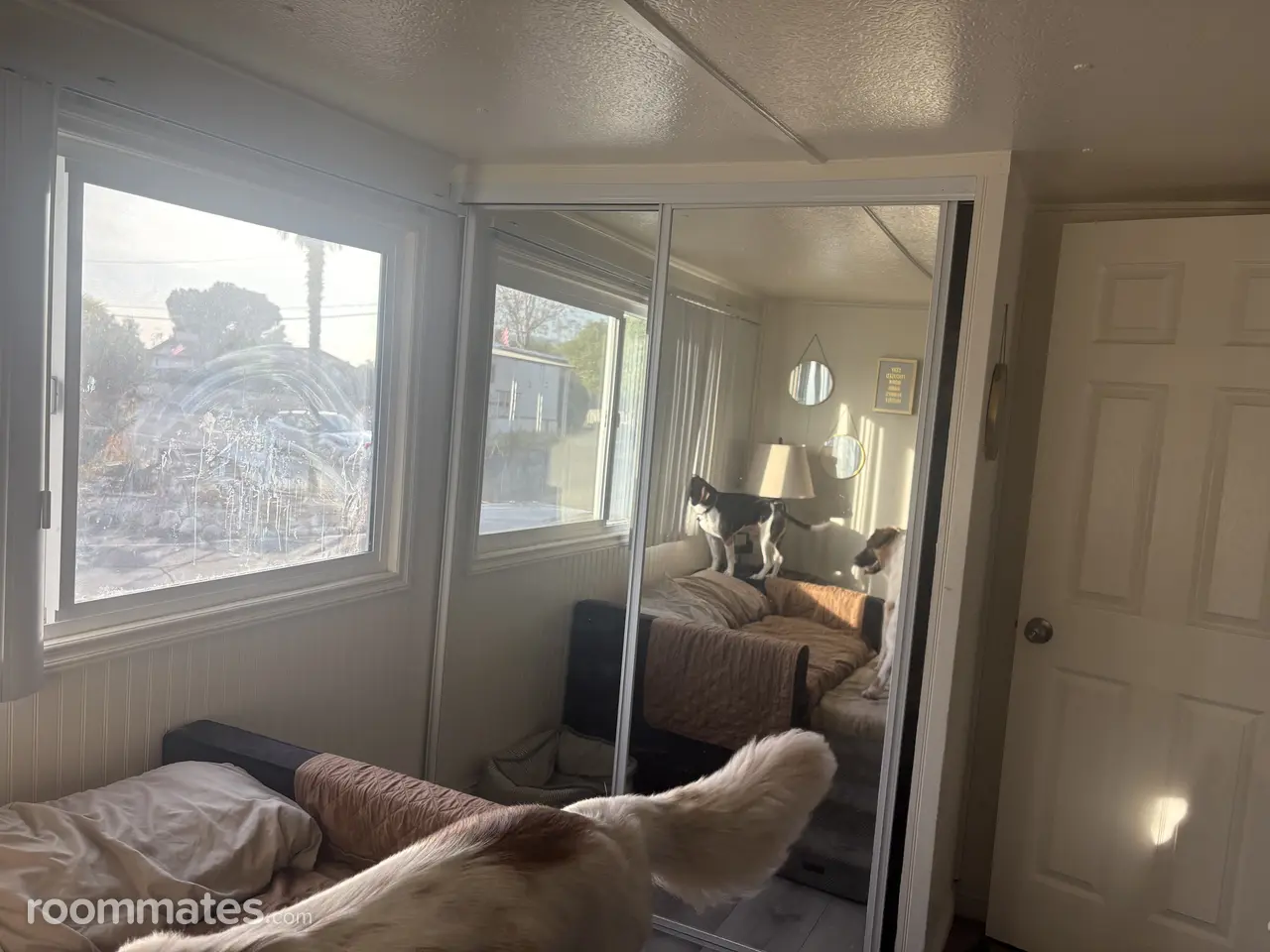 Profile photo 1 of 4