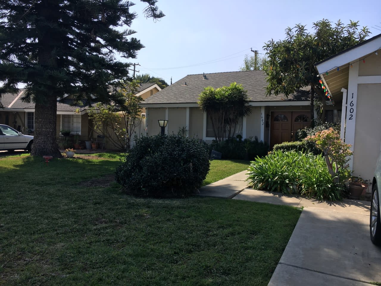 Profile photo 6 of 9