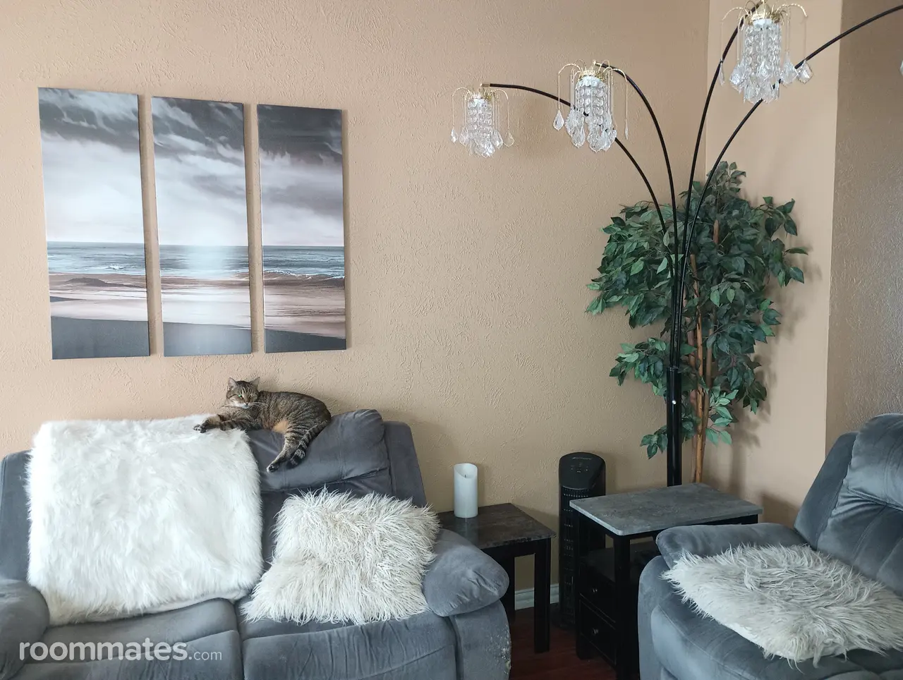 Profile photo 1 of 14