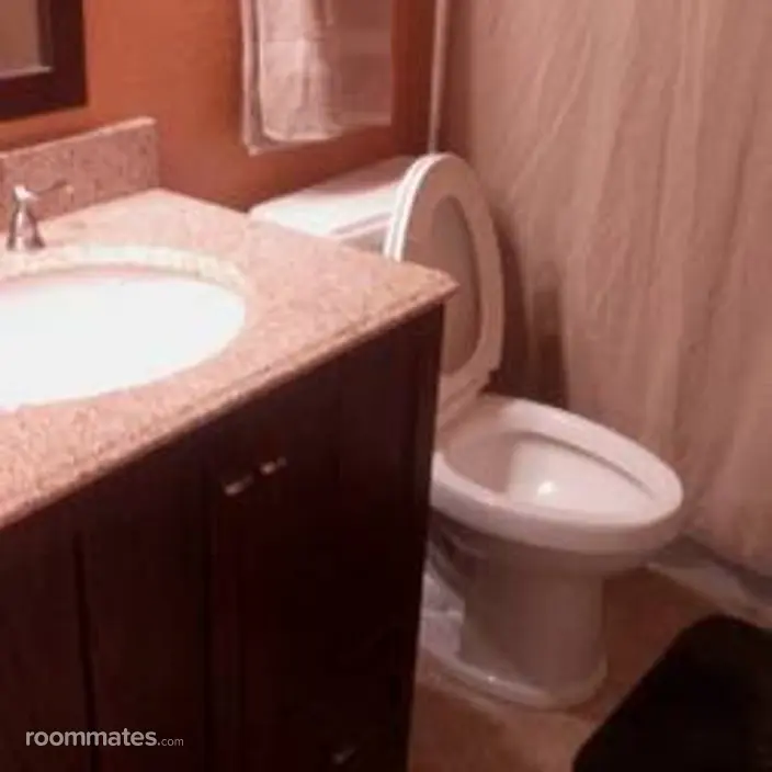 Room for rent in Spring, TX $800, house