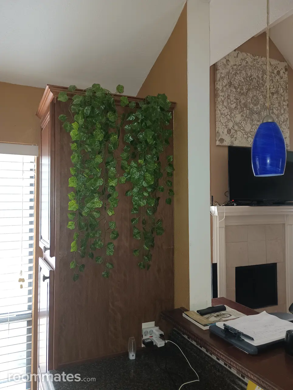 Profile photo 10 of 14