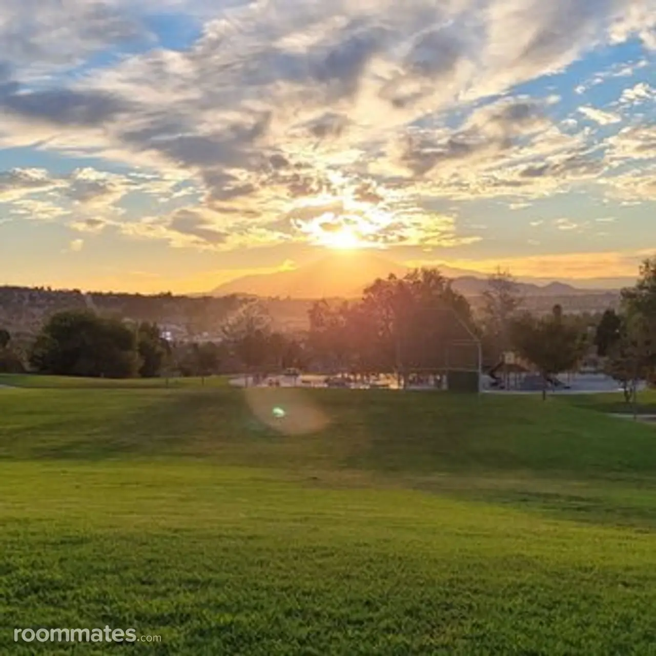 Profile photo 8 of 12