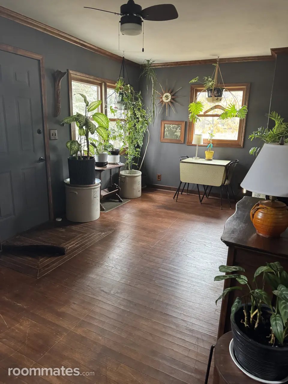 Profile photo 8 of 11