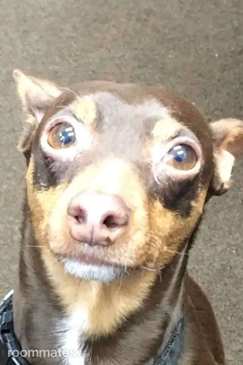 Profile photo 10 of 10