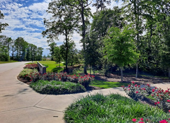 Room for rent in New Caney, TX $600, house