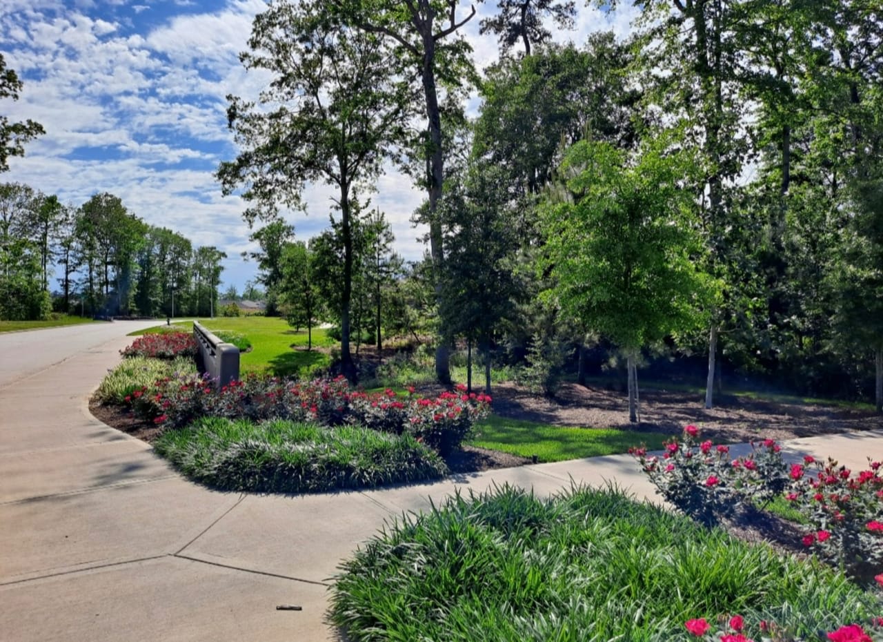 Profile photo 3 of 17