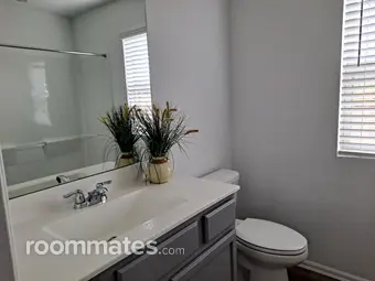 Room for rent in New Caney, TX $600, house