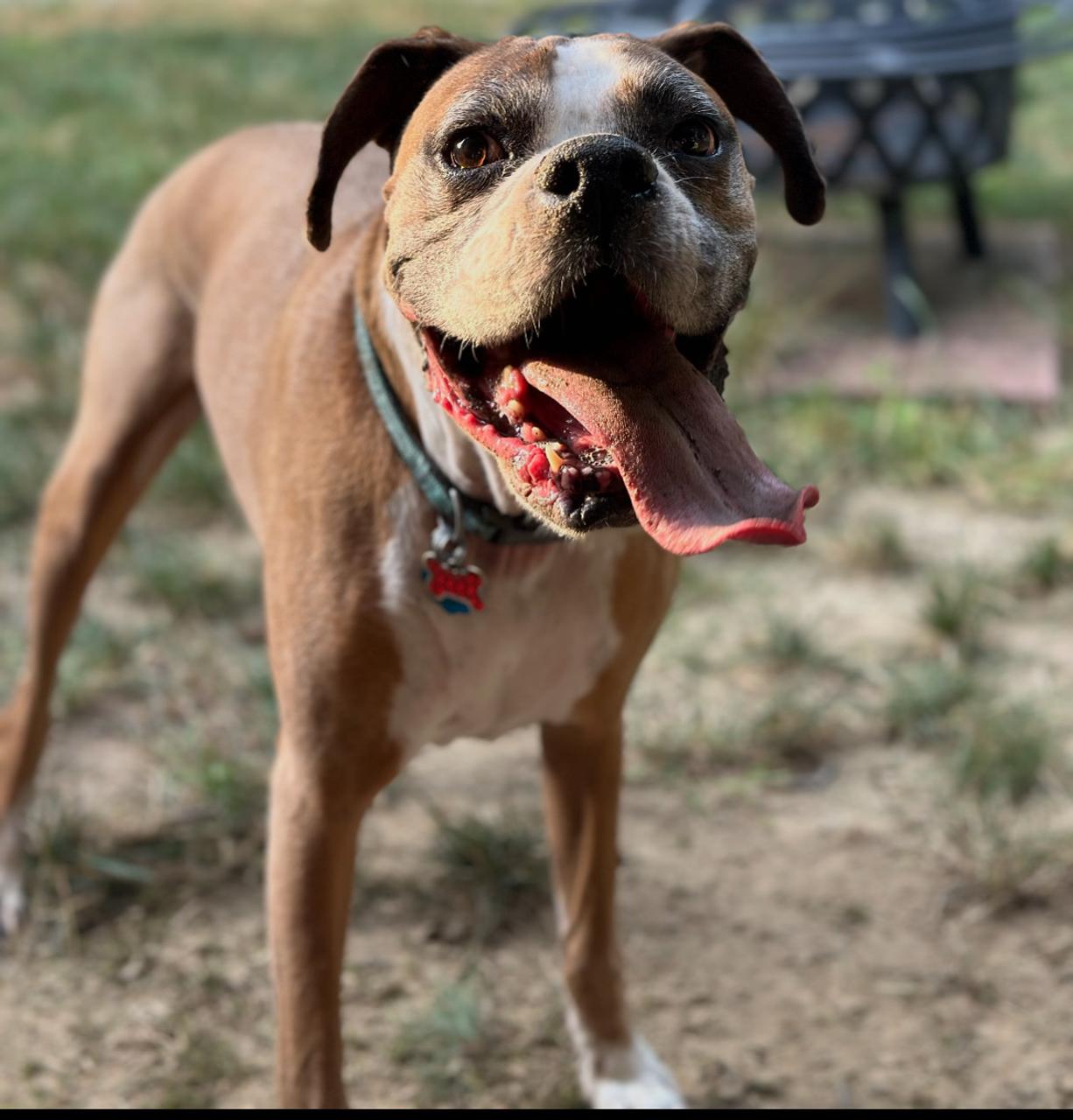 Profile photo 9 of 15