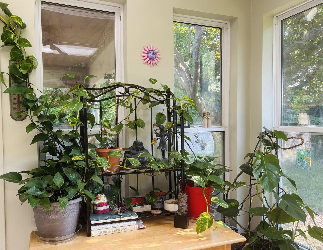 Profile photo 11 of 15