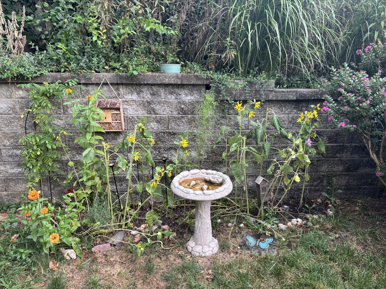 Profile photo 8 of 15