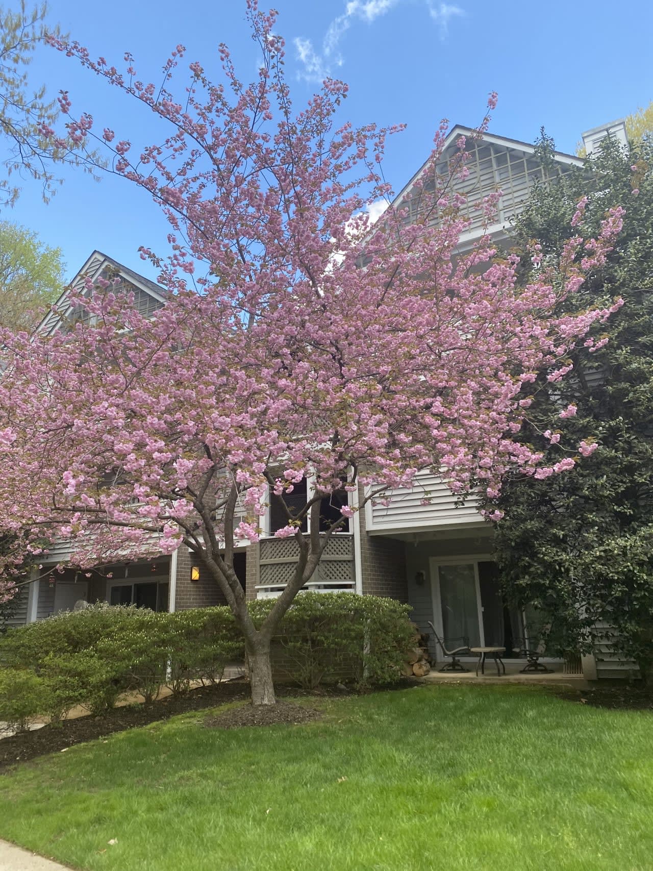 Profile photo 8 of 10