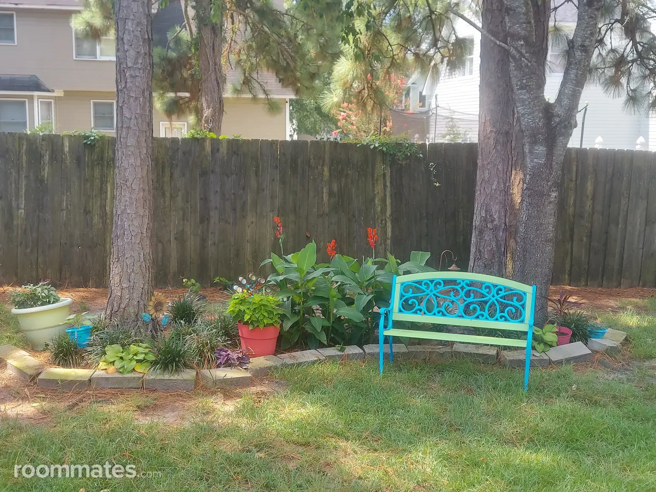 Profile photo 8 of 14