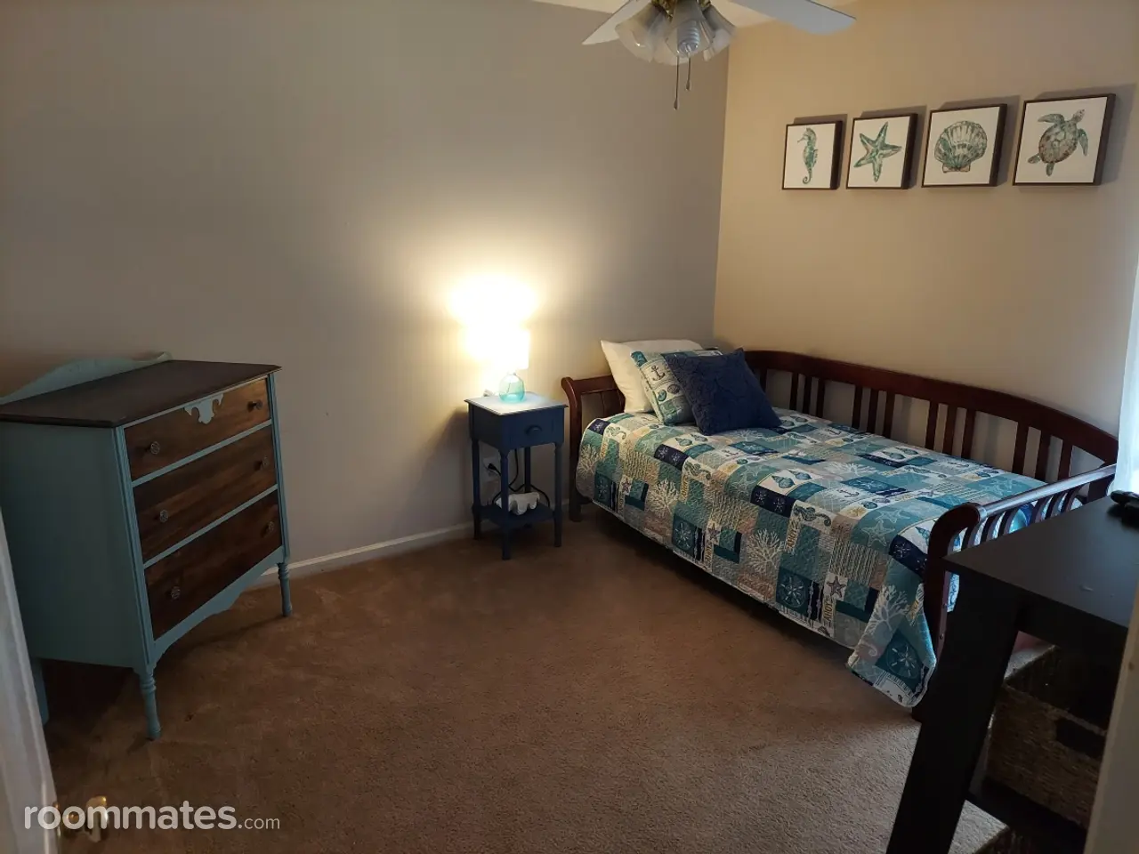 Profile photo 1 of 14